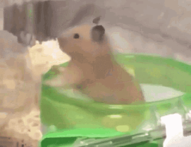 vibe-spin.gif[img]